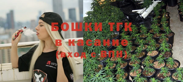 бошки Протвино
