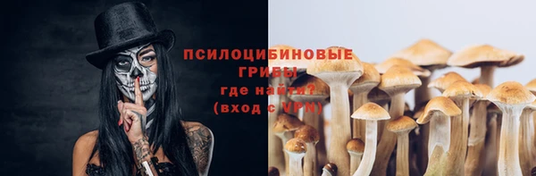 бошки Протвино