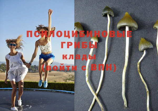 бошки Протвино