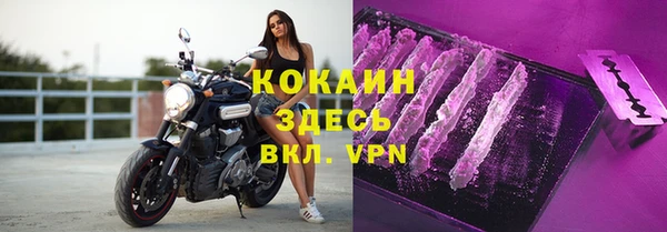 бошки Протвино