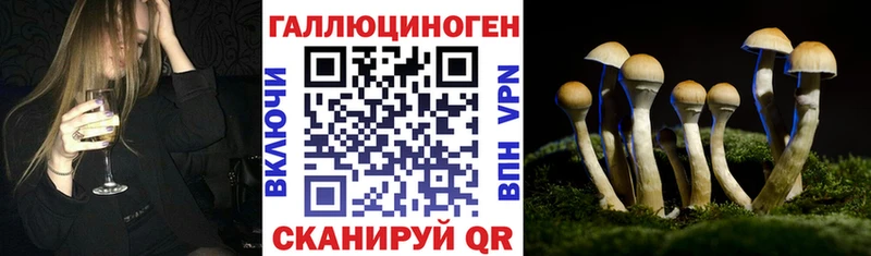 Купить где  Среднеколымск  Галлюциногенные грибы Magic Shrooms 